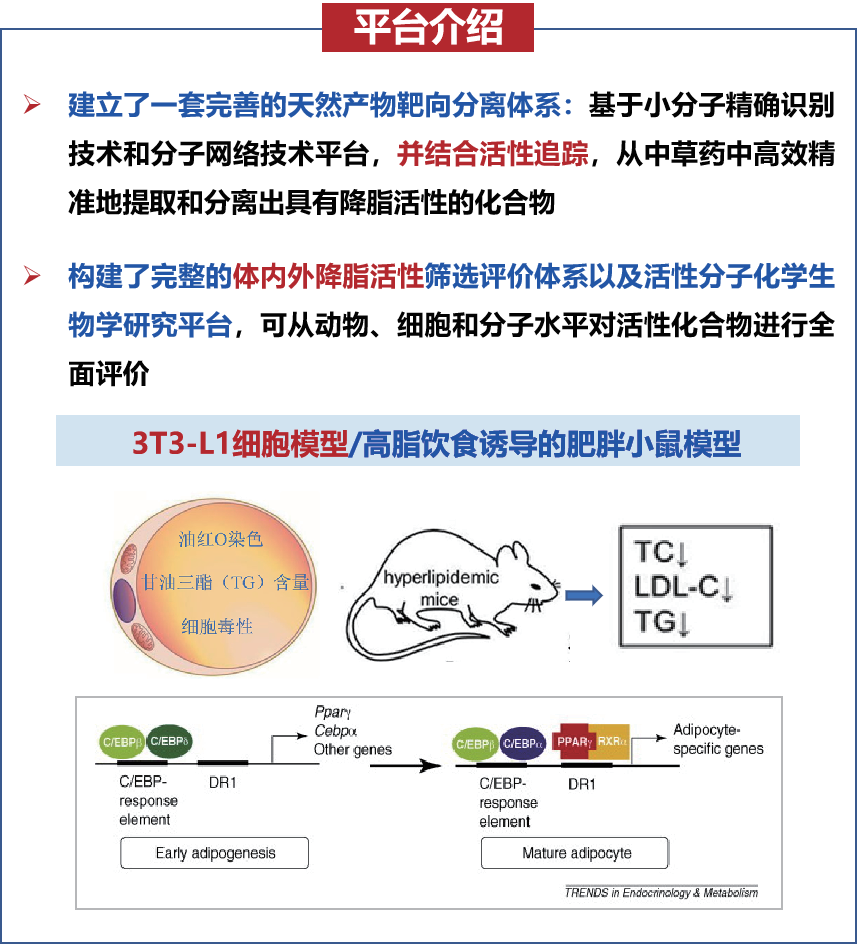 项目十、抗肥胖中草药以及有效部分和药物先导化合物.png